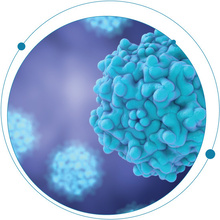 Full, partial and empty capsid ratios for AAV analysis: What’s the big deal?